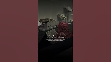 عبدالعزيز التركي | سورة فصلت #quran #اكسبلور #القرآن_الكريم #ترند #تلاوة_خاشعة #تلاوات