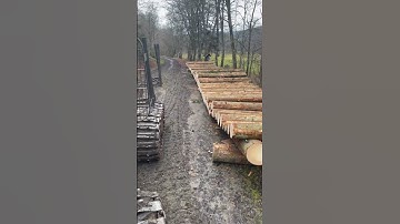 #mood #log #logging #logger #loger #performance #perfect