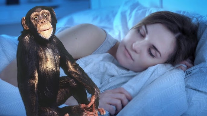 Mening taytlarimdan mushukim korinadi.