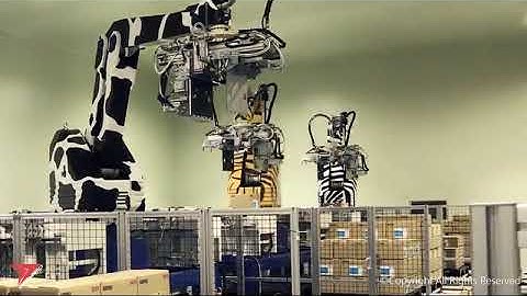 Fuji Robotics   Your End of line Automation Partners