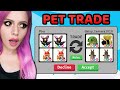 YENİ GELEN PET TRADE !? MEGA NEON PET CHALLENGE !! ( Roblox Adopt Me )