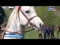 В Хабезе прошла выставка лошадей