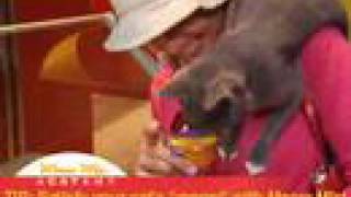 Abramson: Understanding Your Cat's Meow with Dr. Alison.