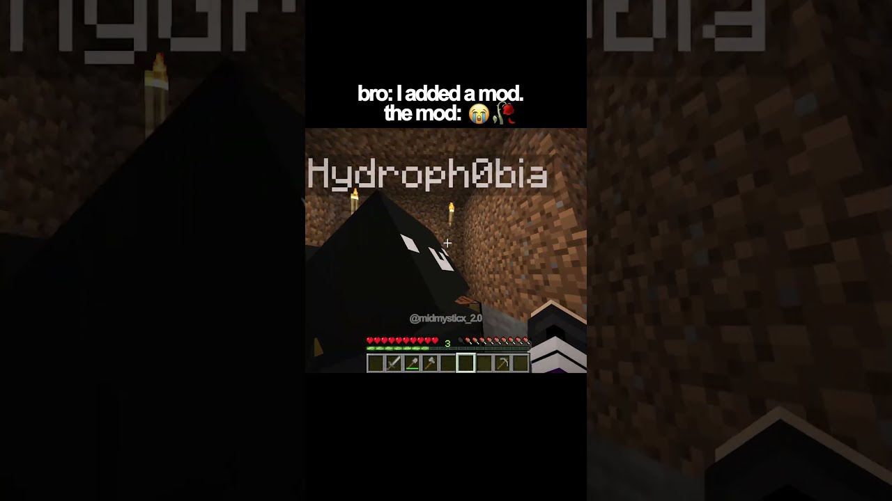 Bro I Added A Mod The 