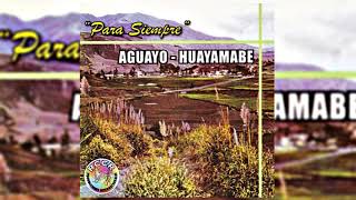 Palomita Errante .- DÚO AGUAYO-HUAYAMABE chords