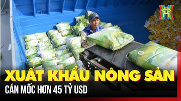 Xuất khẩu nông sản cán mốc hơn 45 tỷ USD