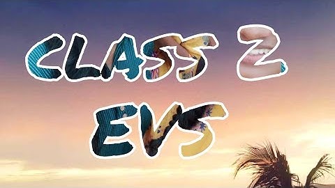 class  2nd B Lesson 4 water  a basic need session 2  subject Evs