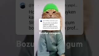 Pp fotosu sayesinde + sevap#kedullah#ytdayibenionecikarnolur#keşfet#edit#