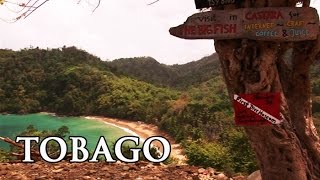 Tobago: Karibik - Reisebericht