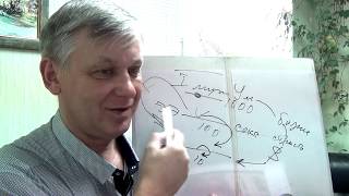 видео: Депрессия и неоправданные ожидания. Психолог Андрей Азаров картинка: Депрессия и неоправданные ожидания. Психолог Андрей Азаров