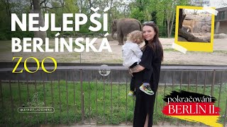 NEJKRÁSNĚJŠÍ ZOO 🐘 | pokračování výletu v Berlíně 🇩🇪