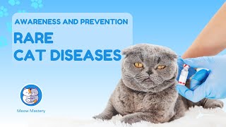 Rare Cat Diseases: Awareness and Prevention Tips for Cat Owners by Meow Mastery 11 views 2 months ago 4 minutes, 57 seconds