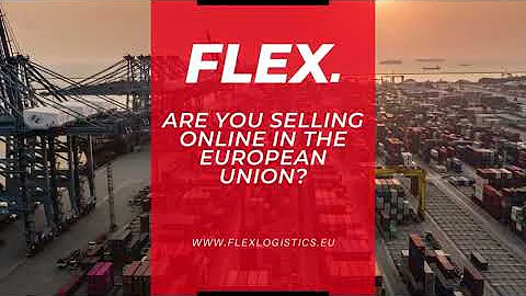 FLEX e-commerce logistics 3PL