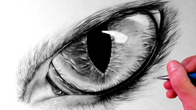 How to Draw a Wolf Eye - YouTube