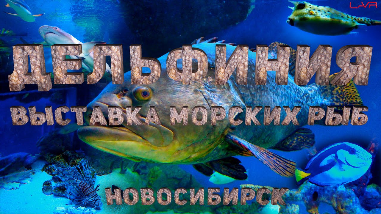 Океанариум в Новосибирске принял первых посетителей