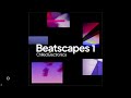 Beatscapes 1  night wolf