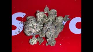 Cruuzy Terp n' Treat Buds!!!