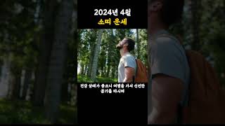 2024년 4월 소띠 운세 띠별운세 소띠운세 알려드립니다. 대박나는띠 #운세 #사주