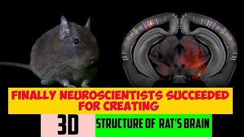 The first high-resolution 3D map of the mouse brain has been completed