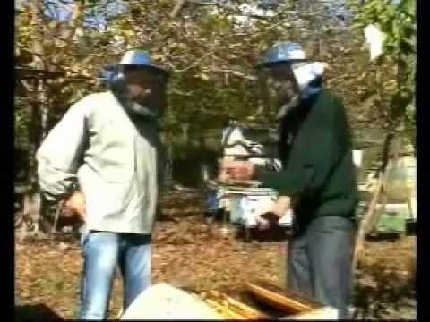 ფუტკრის პროდუქტები - Chveni Ferma 01 - Mefutkreoba Part 3