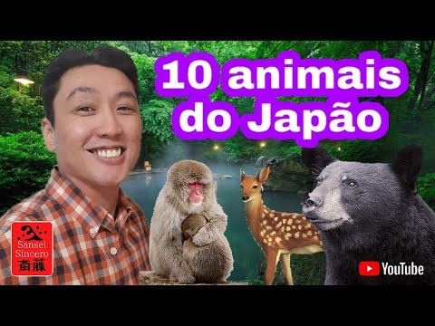 Vídeo: Plantas e animais do Japão