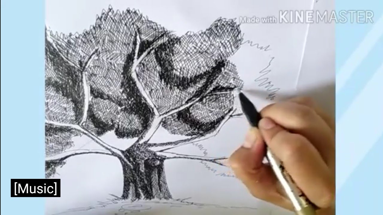 PEN AND INK DRAWING | HOW TO DRAW A TREE | hatching / cross hatching ...