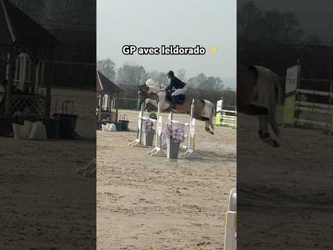Grand Prix 115 avec Ieldorado ✨🩷 #cso #cheval #equitation