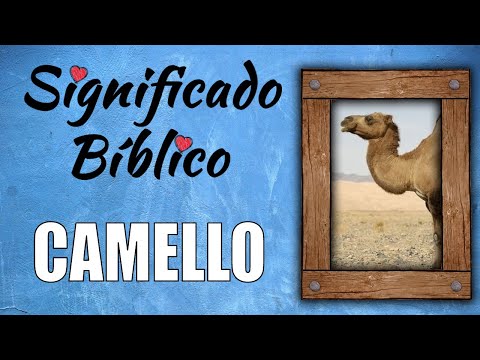 Video: ¿Cuál es el significado de camello?