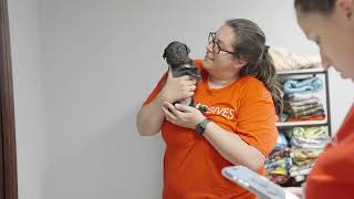 2025 #SMSCgives Pet Food and Supply Drive Recap