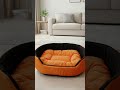 Life of My Dog 🐾Pyare dog ki Masti! #dogbed #pets #petcare #petcomfort