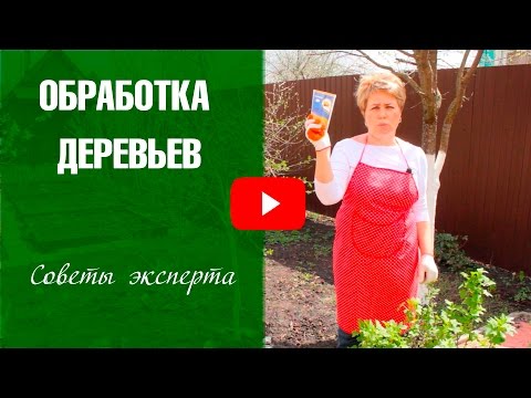 Обработка деревьев весной ✅ Лечение монилиального ожога 🔥 Препарат Хорус