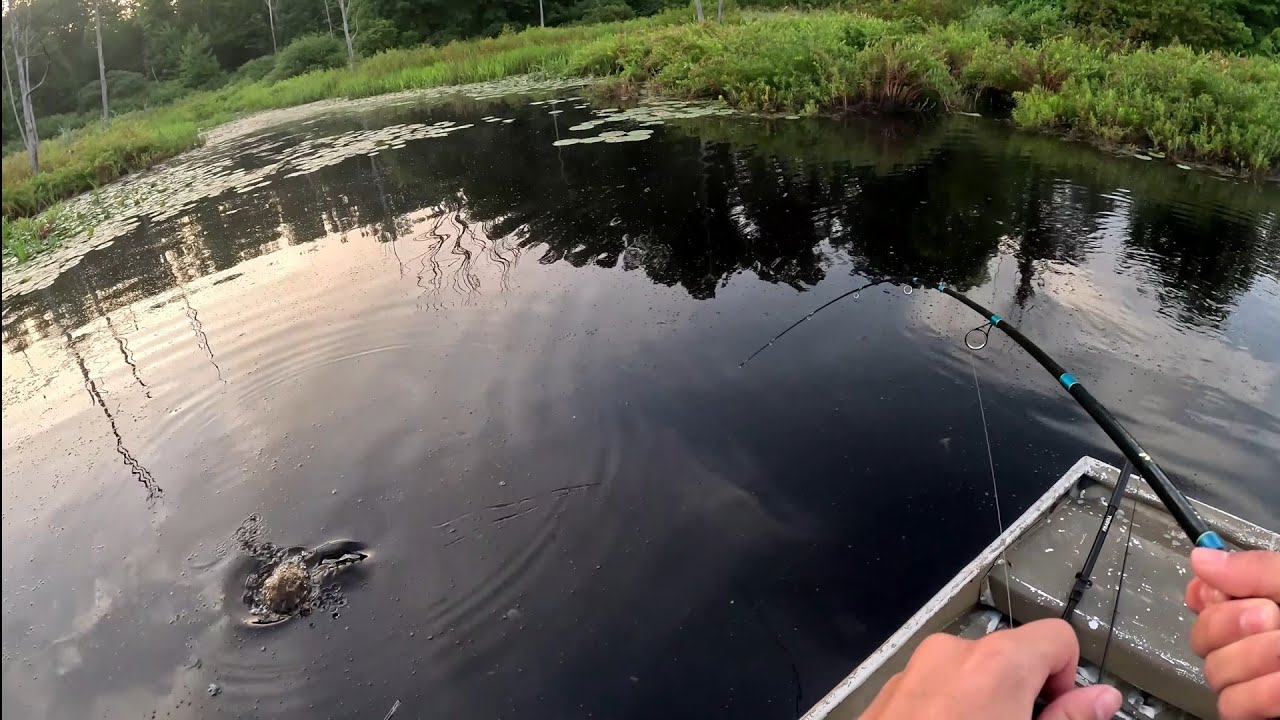 Bass Fishing The Dog Days of Summer