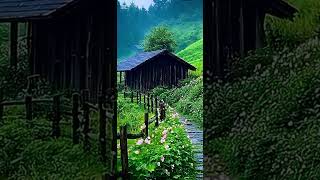 Yaralı Dostum Şair Ahmet İpek