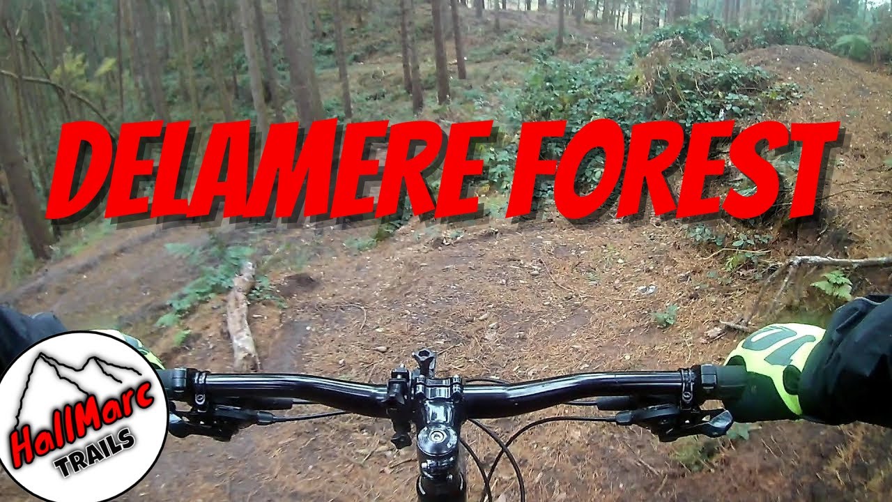 forest bike