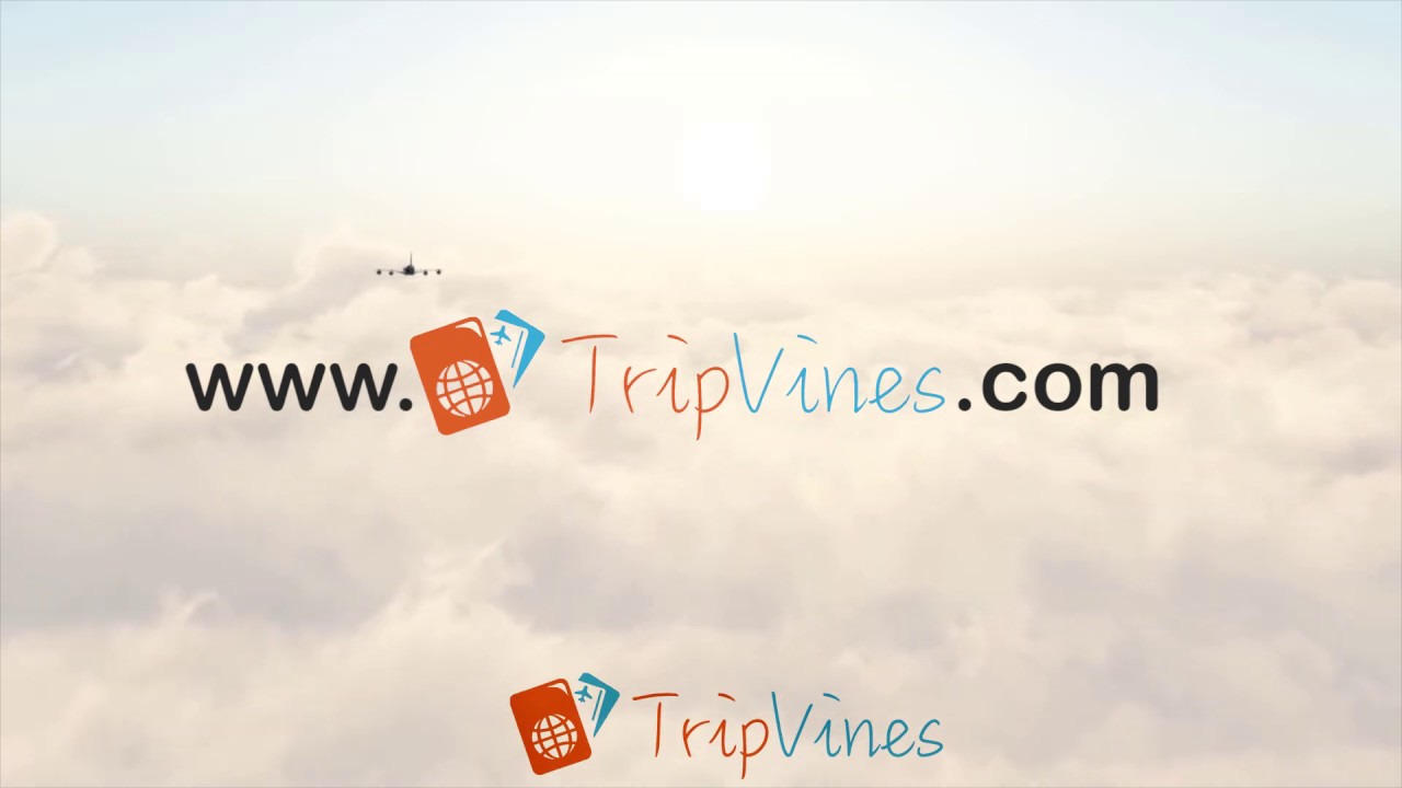 Best Travel Search Engine