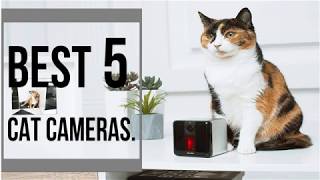 Best cat camera 2019 || Pet surveillance camera || cat camera video screenshot 1