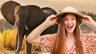 Safari Safari | Kids Music | Dizzy Izzy