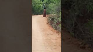 My Village Real Ghost