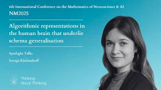 Spotlight - Algorithmic representations in the human brain that underlie schema generalisation