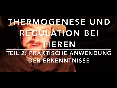 Video: 3 Möglichkeiten, Erfrierungen zu erkennen