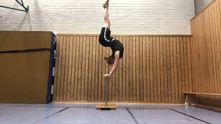 Technical and artistic skills - Codarts application