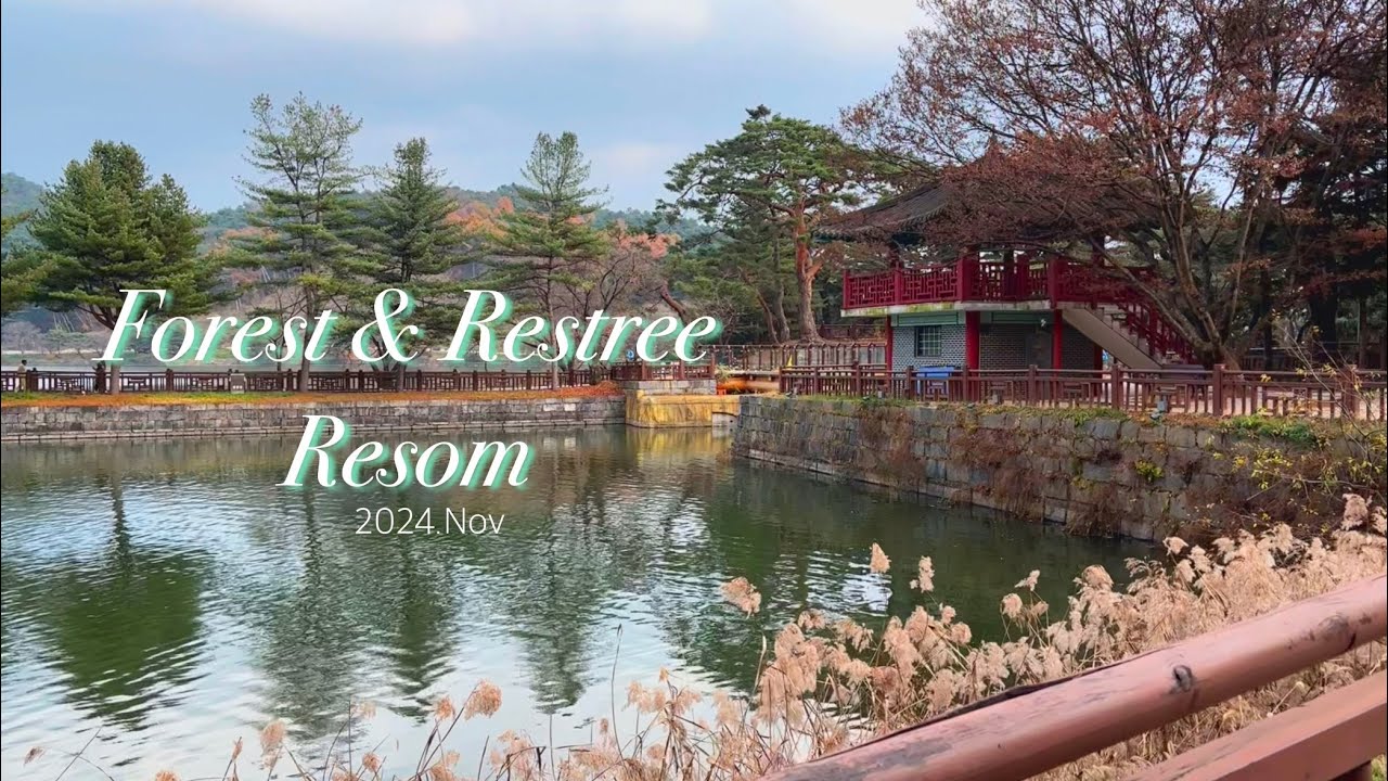 🍁포레스트&레스트리 리솜🍁제천 2박 3일 | 몬도 키친 조식 전메뉴, G40 타워 클린, 해브나인 스파, 청풍호 유람선, 청풍호반 케이블카, 제천의림지