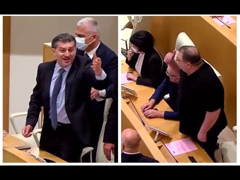 სეზონი გაიხსნა - გუბაზ სანიკიძისა და მიხეილ ყაველაშვილის დაპირისპირება პარლამენტში