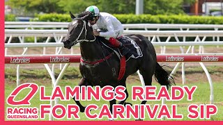 Lamings looking for further Queensland Carnival success