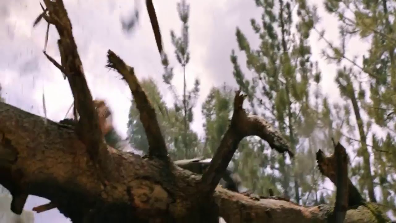 Best Action...Tom Rider 2 !!! - YouTube