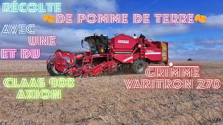 Récolte de 🥔pomme de terre🥔 avec une Grimme Varitron 270 et du Claas