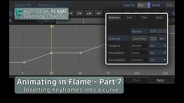 Animating in Flame - P7 - Inserting Keyframes into a curve - Flame 2020.3