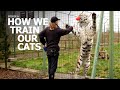 A Perfect Day | Ep 6: "How We Train Our Cats"