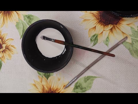 Video: 3 způsoby, jak přilákat vážky
