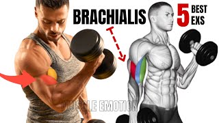 5  BEST BRACHIALIS WORKOUT AT GYM TO GET BIGGER ARMS FAST